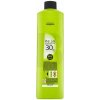 L'Oréal Inoa 2 Rich oxidant 30 Vol 9% 1000 ml L'Oréal Inoa 2 Rich oxidant 30 Vol 9% 1000 ml