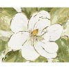 Diamondi Diamantové maľovanie - BIELA MAGNÓLIA (HALEY BUSH) Rámovanie: vypnuté plátno na rám, Rozmer: 40x50 cm Diamondi Diamantové maľovanie - BIELA MAGNÓLIA (HALEY BUSH) Rámovanie: vypnuté plátno na rám, Rozmer: 40x50 cm