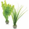 BiOrb Plant Pack zelená set 20 cm BiOrb Plant Pack zelená set 20 cm