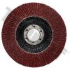TRIUMF Lamelový brúsny kotúč, 125 mm, zrnitosť 40 TRIUMF Lamelový brúsny kotúč, 125 mm, zrnitosť 40