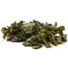 Lesná jahoda - list celý - Fragaria vesca - Folium fragariae Lesná jahoda - list celý - Fragaria vesca - Folium fragariae