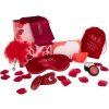 Dream Toys Amour The Secrets of Love Panty Play Kit