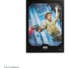 Gamegenic SWU: 60 Premium Art Sleeves - Cassian Andor (GGS15103ML) Gamegenic SWU: 60 Premium Art Sleeves - Cassian Andor (GGS15103ML)