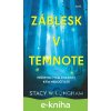 E-kniha Záblesk v temnote - Stacy Willingham E-kniha Záblesk v temnote - Stacy Willingham