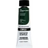 Daler Rowney Cryla Artists’ Akrylová farba Hookers Green 75 ml 1 ks Daler Rowney Cryla Artists’ Akrylová farba Hookers Green 75 ml 1 ks