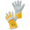 Canis DINGO WINTER 370000100010
