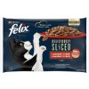 Kapsičky FELIX Deliciously sliced hovädzie/kura/kačka/morka v želé 4 x 80 g Kapsičky FELIX Deliciously sliced hovädzie/kura/kačka/morka v želé 4 x 80 g