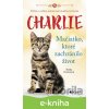 Charlie - Mačiatko, ktoré zachránilo život - Sheila Norton