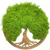 Machový obraz Strom života Simple S 20cm Orech Machový obraz Strom života Simple S 20cm Orech