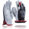 ARDON®PONY WINTER Pracovné rukavice 12 párov 09 A1076/09-SPE ARDON®PONY WINTER Pracovné rukavice 12 párov 09 A1076/09-SPE