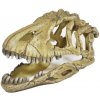 Happet Lebka dinosaura 17 cm Happet Lebka dinosaura 17 cm