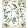 Nálepky na stenu Dekornik: Jungle Botanics Nálepky na stenu Dekornik: Jungle Botanics