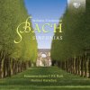 W.F. BACH: Sinfonias. Kammerorchester C.P.E. Bach, Hartmut Haenchen (CD) (BRILLIANT CLASSICS) W.F. BACH: Sinfonias. Kammerorchester C.P.E. Bach, Hartmut Haenchen (CD) (BRILLIANT CLASSICS)