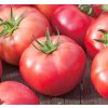 Semená paradajok 0,2 g Semená paradajok 0,2 g
