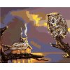 Zuty – Maľovanie podľa čísel – Sova a chata pri vode (D. Rusty Rust), 40 × 50 cm, plátno 8596530184966 Zuty – Maľovanie podľa čísel – Sova a chata pri vode (D. Rusty Rust), 40 × 50 cm, plátno 8596530184966