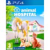 Animal Hospital Animal Hospital