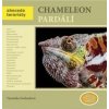 Chameleon pardálí - Abeceda teraristy - Veronika Svobodová Chameleon pardálí - Abeceda teraristy - Veronika Svobodová