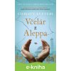 E-kniha Včelár z Aleppa - Christy Lefteri E-kniha Včelár z Aleppa - Christy Lefteri