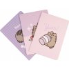 Grupo Erik Zápisník Pusheen - Pusheen Moments (3 kusy) Grupo Erik Zápisník Pusheen - Pusheen Moments (3 kusy)
