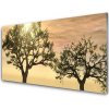 Nástenný panel Stromy príroda 100x50 cm Nástenný panel Stromy príroda 100x50 cm