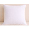 XPOSE® Froté chránič vankúša - biely 40x40 cm, Froté XPOSE® Froté chránič vankúša - biely 40x40 cm, Froté