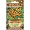 Paradajka kríčková balkónová Venus MoravoSeed oranžová
