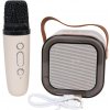 Karaoke set s bezdrôtovým mikrofónom a prenosným Bluetooth reproduktorom s RGB Karaoke set s bezdrôtovým mikrofónom a prenosným Bluetooth reproduktorom s RGB