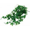 Lucky Reptile Jungle Plants Ivy Bush cca 50 cm Lucky Reptile Jungle Plants Ivy Bush cca 50 cm