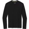 Smartwool Merino 250 Baselayer Crew Boxed termo tričko black