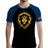 World Of Warcraft Alliance
