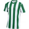 Nike | M NK DF STRP DVSN V JSY SS | biela| XS Nike | M NK DF STRP DVSN V JSY SS | biela| XS