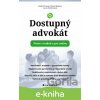 Dostupný advokát: Právo v rodině a pro rodinu - Ondřej Preuss, Nikola Šedová, Lucie Petránková