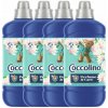 Coccolino Vodná ľalia a ružový grapefruit Oplachovací koncentrát 204 umývanie 4x1275ml Coccolino Coccolino Vodná ľalia a ružový grapefruit Oplachovací koncentrát 204 umývanie 4x1275ml Coccolino