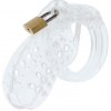 Hidden Desire Extreme Chastity Cock Cage Acrylic Hidden Desire Extreme Chastity Cock Cage Acrylic