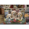 Puzzle Educa Puzzle Šteniatka v kufri 500 dielikov (8412668176454) Puzzle Educa Puzzle Šteniatka v kufri 500 dielikov (8412668176454)