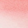 Winsor & Newton watercolor promarker 461 pale rose