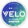 VELO MINI - Icy Berries 2◉ VELO MINI - Icy Berries 2◉