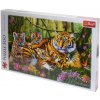 Tigerova rodina 1000 dielne puzzle - Trefl Tigerova rodina 1000 dielne puzzle - Trefl