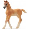 SCHLEICH Horse Club® 13984 Arabský kůň - hříbě SCHLEICH Horse Club® 13984 Arabský kůň - hříbě