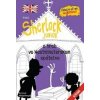 Sherlock Junior a hrob vo Westmisterskom opátstve - Nikolai Renger Sherlock Junior a hrob vo Westmisterskom opátstve - Nikolai Renger