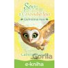 E-kniha Sovy z Čarovného lesa - Záchranná mise - Catherine Coe E-kniha Sovy z Čarovného lesa - Záchranná mise - Catherine Coe