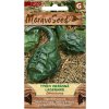 Semená Ozdobná tekvica lagenaria DINOSAURUS, 5 s Semená Ozdobná tekvica lagenaria DINOSAURUS, 5 s