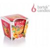 Bartek Candles Christmas Time Cinnamon & Apple 115 g Bartek Candles Christmas Time Cinnamon & Apple 115 g