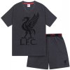 FC Liverpool pánské pyžamo krátké šedé