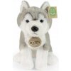 PLYŠOVÁ HRAČKA PES HUSKY SOFT PSÍK AKO DARČEK ECO PLYŠOVÁ HRAČKA PES HUSKY SOFT PSÍK AKO DARČEK ECO