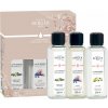 Maison Berger Paris náplne do katalytických lámp Svetlo kvetín + Magnólia + Lady flower 3 x 250 ml