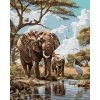 ZUTY AFRICKÉ SAFARI SLONY Rámovanie vypnuté plátno na rám Rozmer 40 x 50 cm