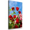 Vertikálny foto obraz na plátne do obývačky Divoká ruža 50x100 cm Vertikálny foto obraz na plátne do obývačky Divoká ruža 50x100 cm