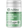 ANIFORTE Tick shield Medium breeds - doplňky stravy pro psy - 60 tablet ANIFORTE Tick shield Medium breeds - doplňky stravy pro psy - 60 tablet