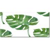 Foto obraz akryl do obývačky Monstera 100x50 cm Foto obraz akryl do obývačky Monstera 100x50 cm